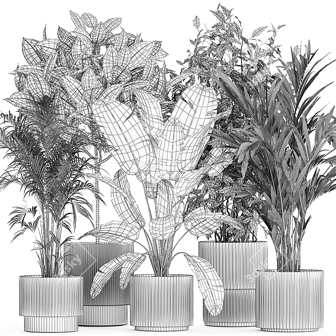 Tropical Plant Collection in White Pots 3D model image 7