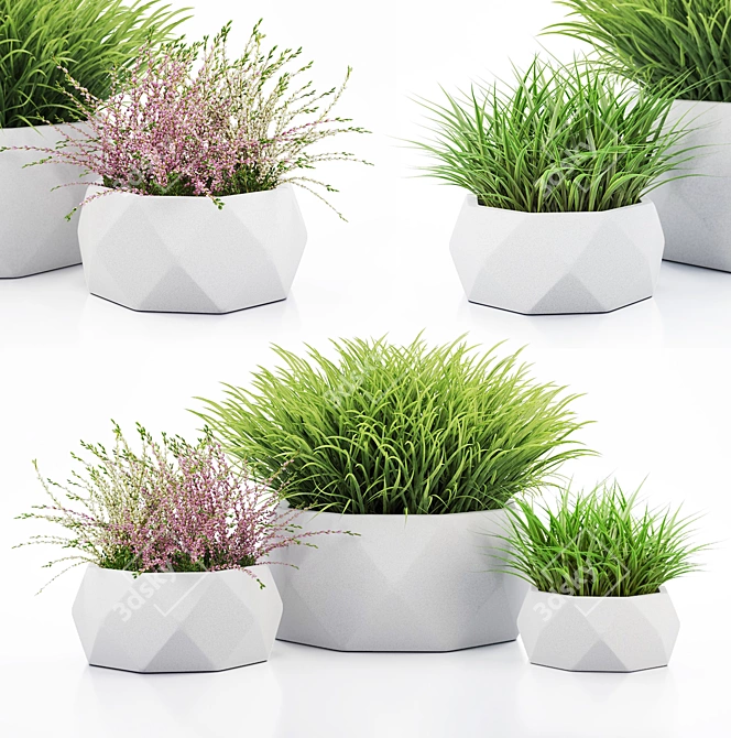 Vray Render Outdoor Plant 3D 3D model image 1