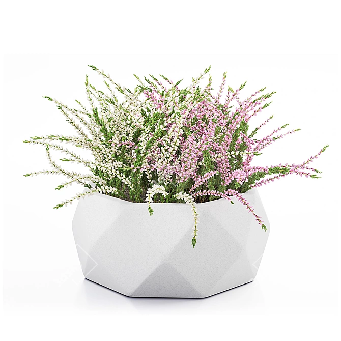 Vray Render Outdoor Plant 3D 3D model image 8