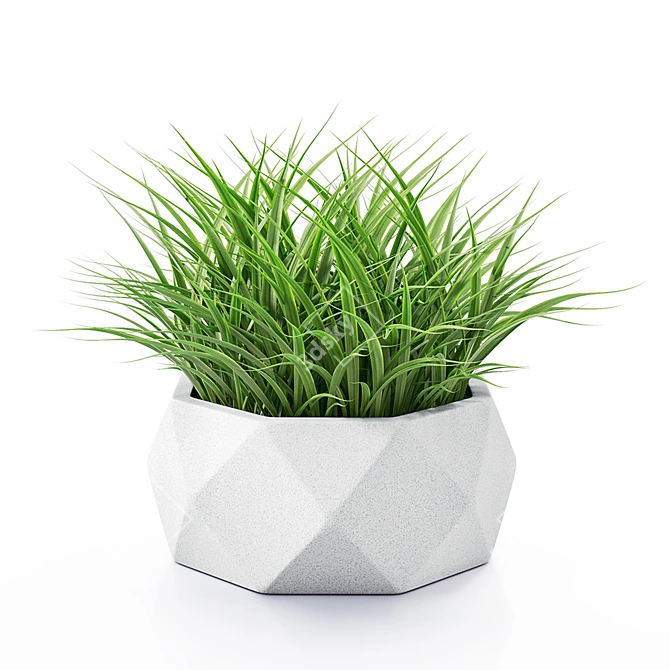 Vray Render Outdoor Plant 3D 3D model image 17