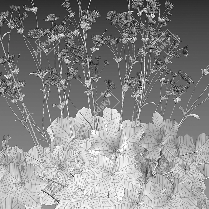 Advanced 3D Plant Models Collection 3D model image 4