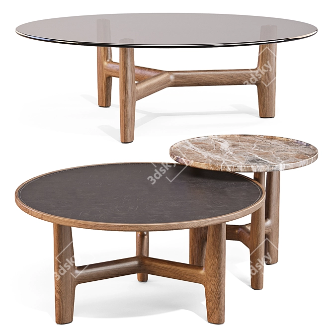 Modern Italian Coffee Table Set 3D model image 2