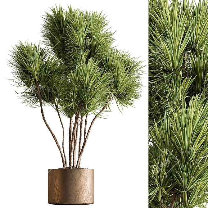  Yuka Indoor Plant 610 3D model image 1