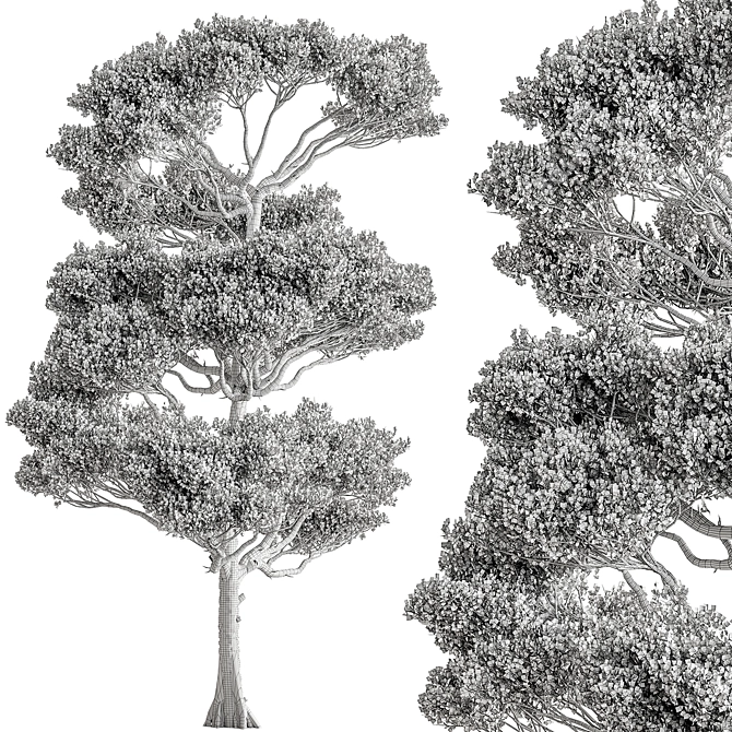 Bonsai Tree Set, Oriental Design 3D model image 6