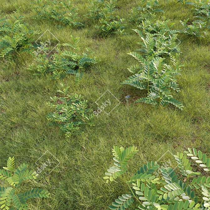 Versatile 3D Plant Modeling Collection 3D model image 2