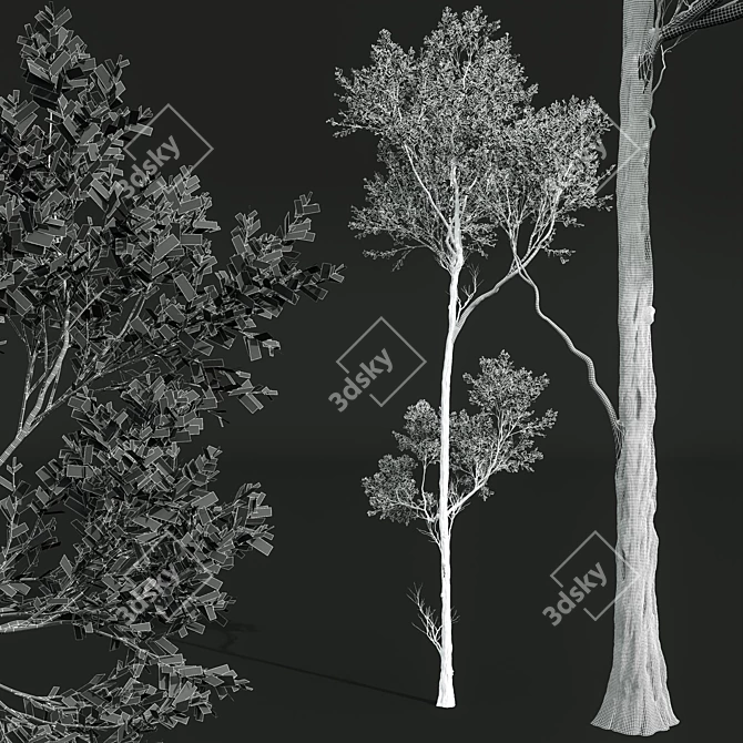 Forest Tree 3D Models Set 3D model image 6