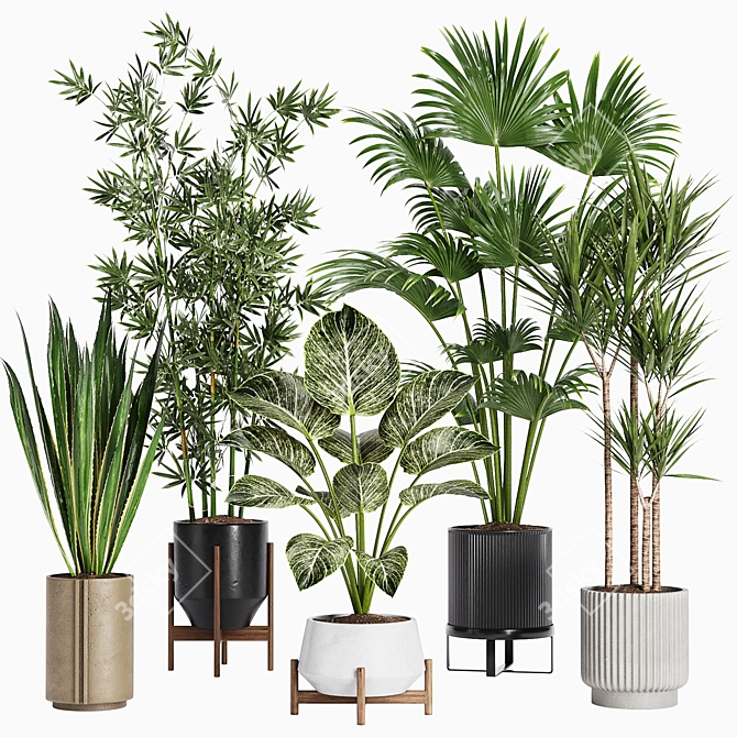 Set of 24 Indoor Plants 3D model image 1