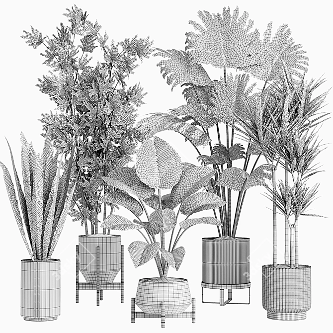 Set of 24 Indoor Plants 3D model image 5