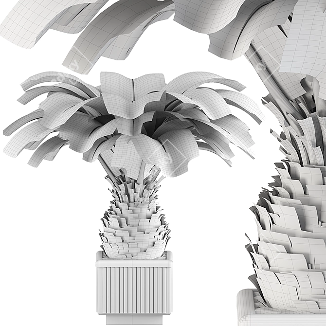 Sago Palm Set Indoor Decor 3D model image 4