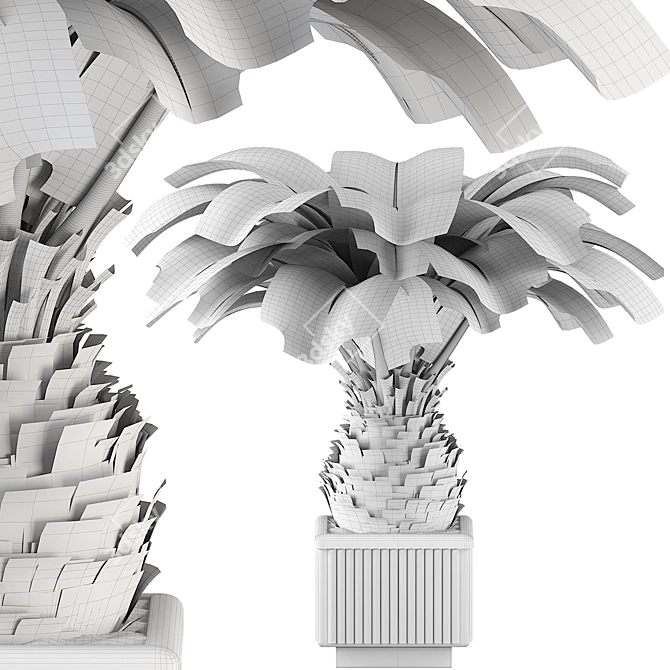 Sago Palm Set Indoor Decor 3D model image 6