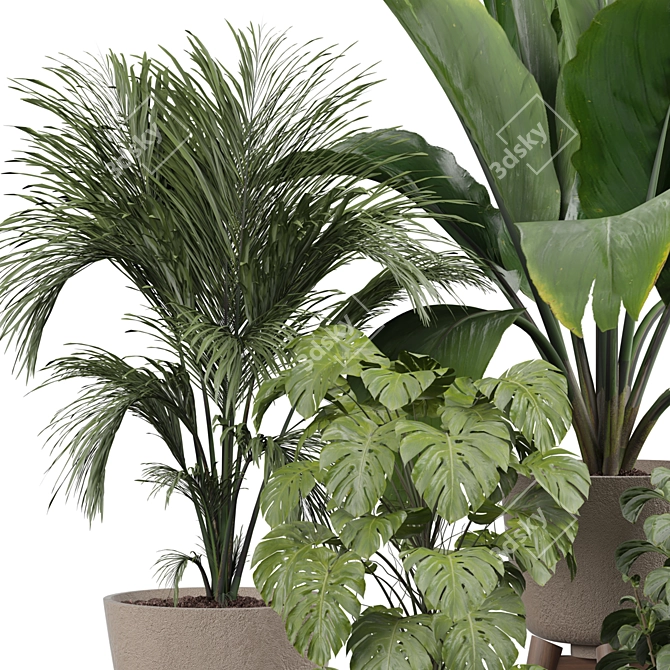 Modern Indoor Plant 3D Model 3D model image 3