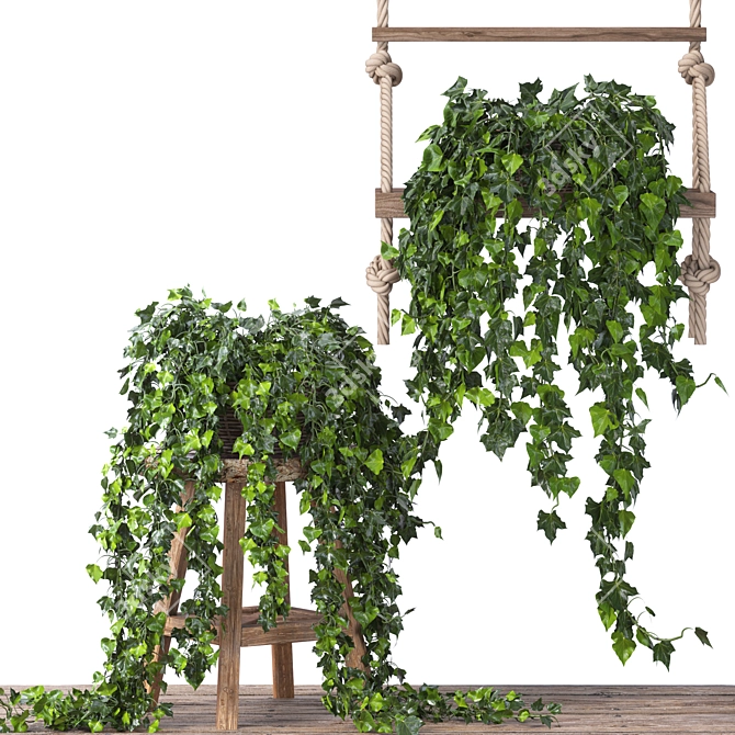 Vintage Ivy Plant Decor Set 3D model image 1