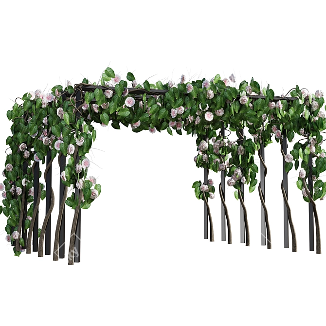 Vray Rose Arch Scene 2015 3D model image 4