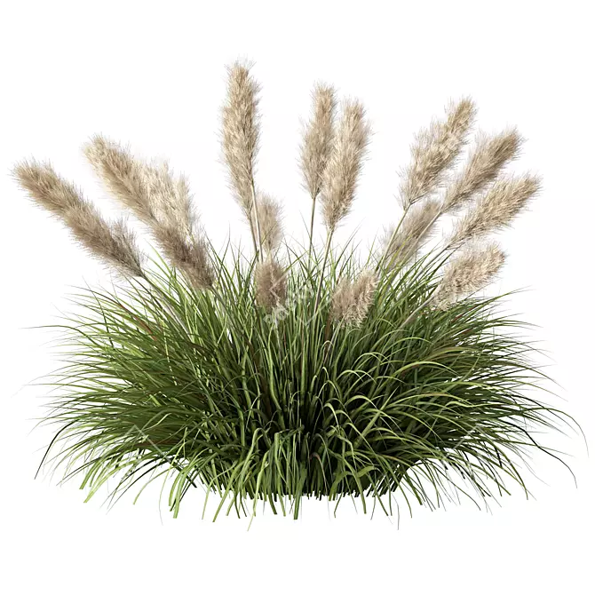 Wild Grassland Pampas No.12 3D model image 1