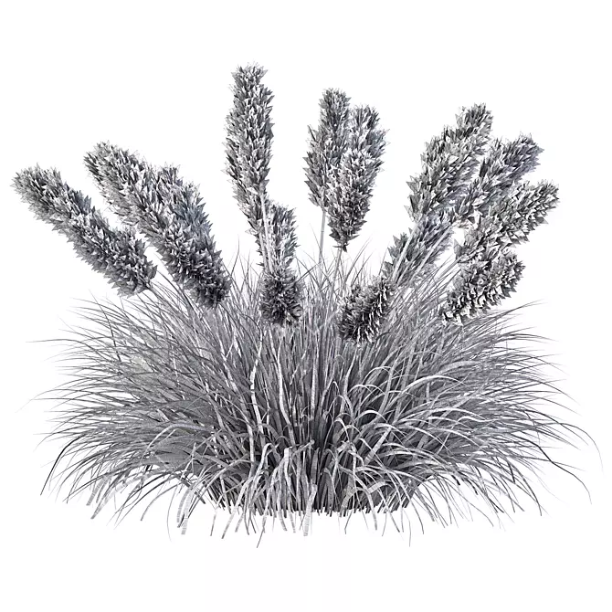 Wild Grassland Pampas No.12 3D model image 4