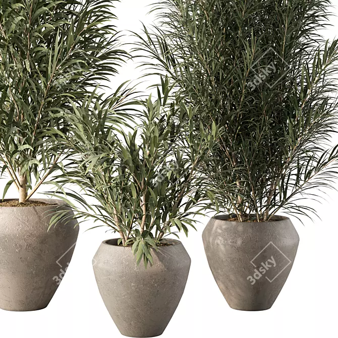 Modern Minimalist Indoor Plant Decor 3D model image 3