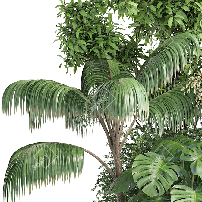 Modern Indoor Plant Set Collection 3D model image 3