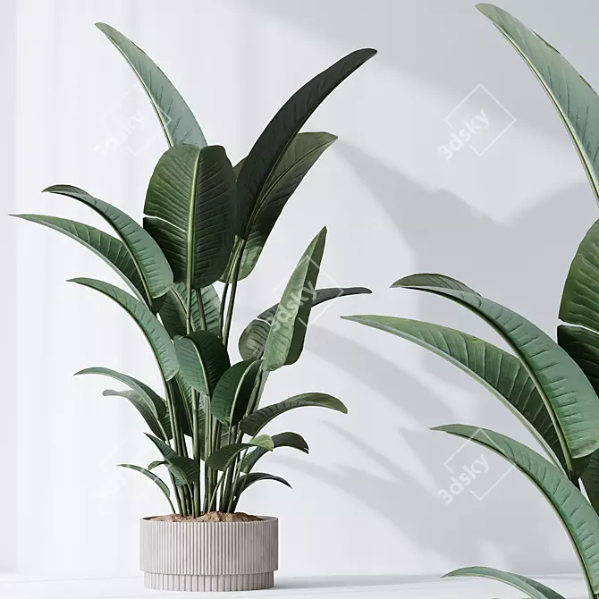 Tropical Bird Paradise Vase 3D model image 2