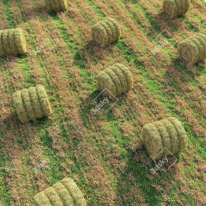 Rustic Farm Field Environment 3 3D model image 2