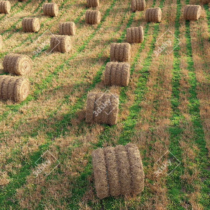 Rustic Farm Field Environment 3 3D model image 4