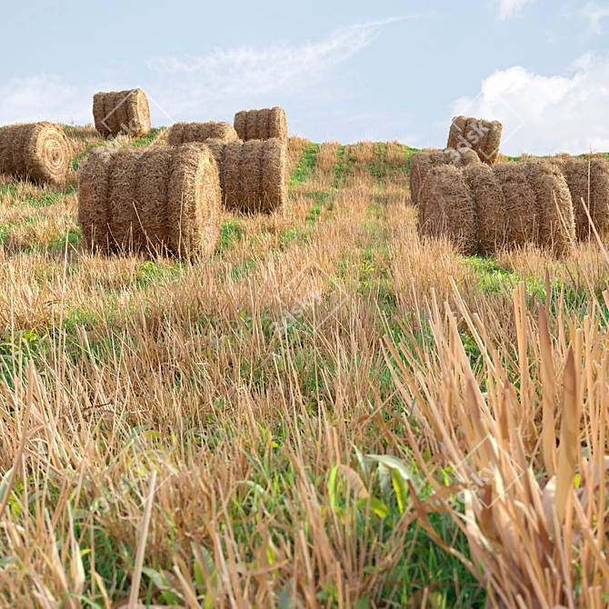 Rustic Farm Field Environment 3 3D model image 5