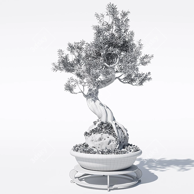 Corona Render Olive Bonsai Model 3D model image 7