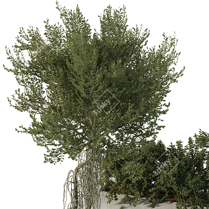 Max 2015 Corona 6 3D Model 3D model image 5