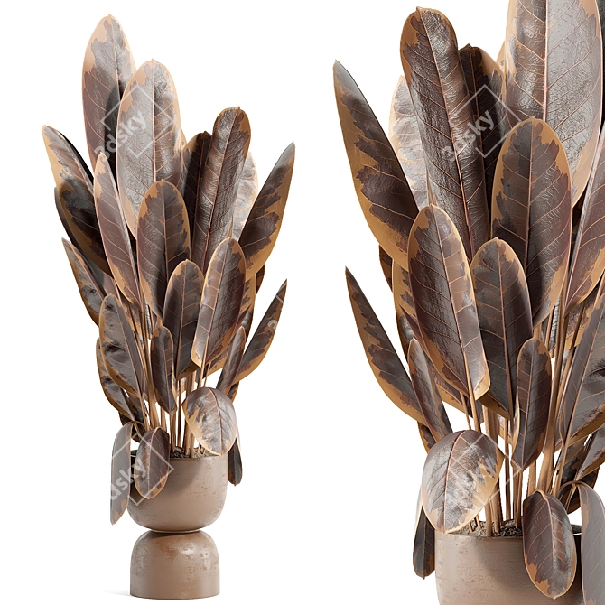 Botanical Beauty Set 89 3D model image 1