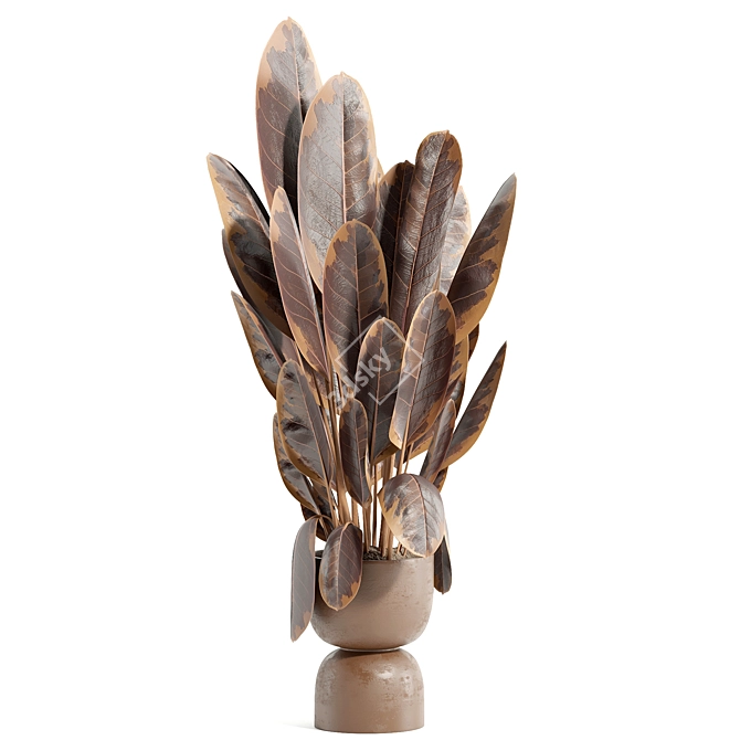 Botanical Beauty Set 89 3D model image 2