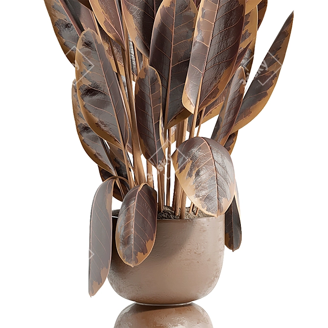 Botanical Beauty Set 89 3D model image 3