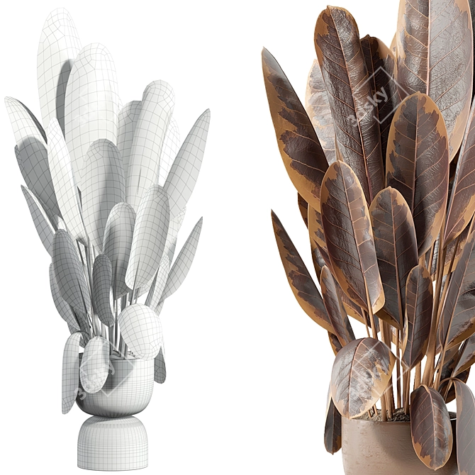 Botanical Beauty Set 89 3D model image 4