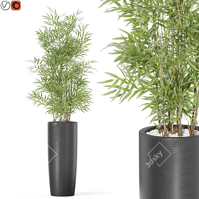 Diverse Plants Collection 1009 3D model image 1