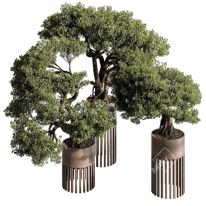 Bonsai Plant 625: Indoor Charm 3D model image 1