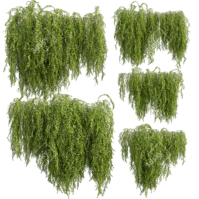 High-Quality Outdoor Ivy Bush 3D model image 1