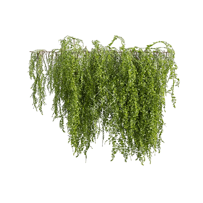 High-Quality Outdoor Ivy Bush 3D model image 2
