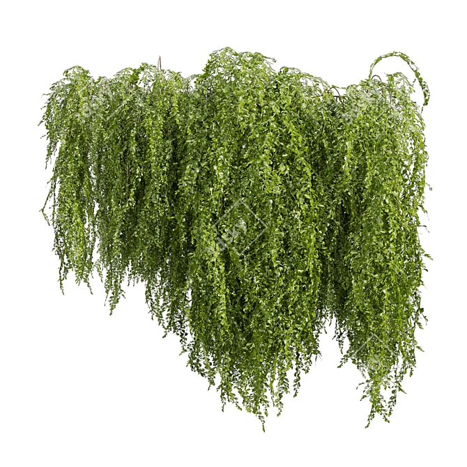 High-Quality Outdoor Ivy Bush 3D model image 4