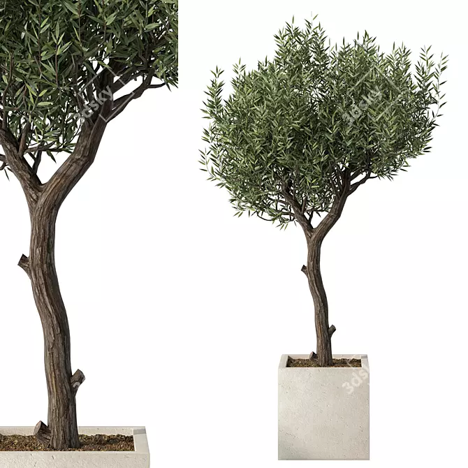 Majestic Outdoor Plant Sculpture 3D model image 1