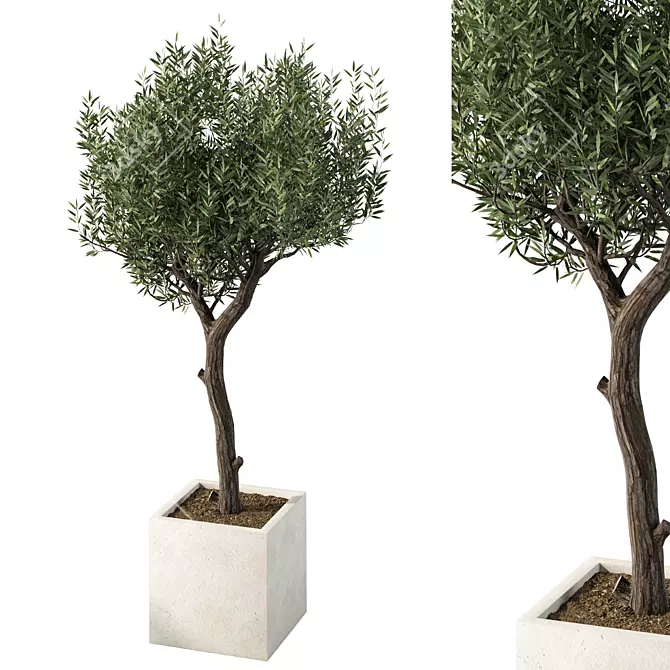 Majestic Outdoor Plant Sculpture 3D model image 2