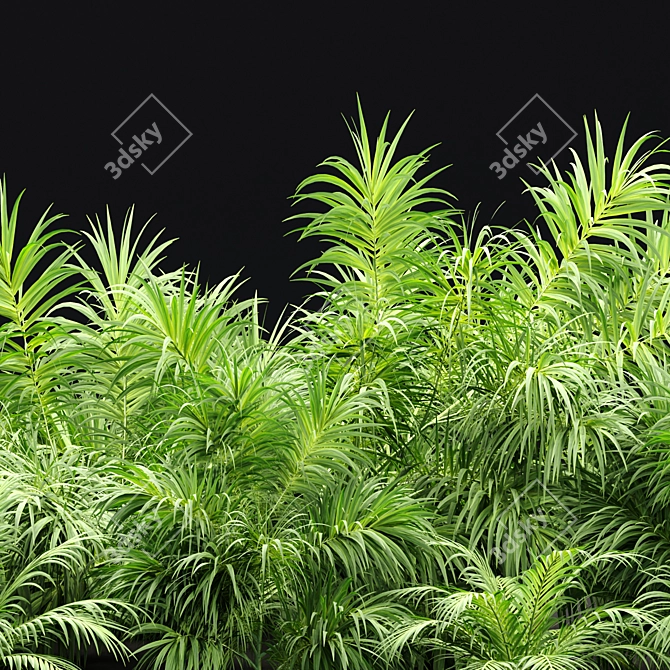 PBR Plants Textures Collection Bundle 3D model image 3