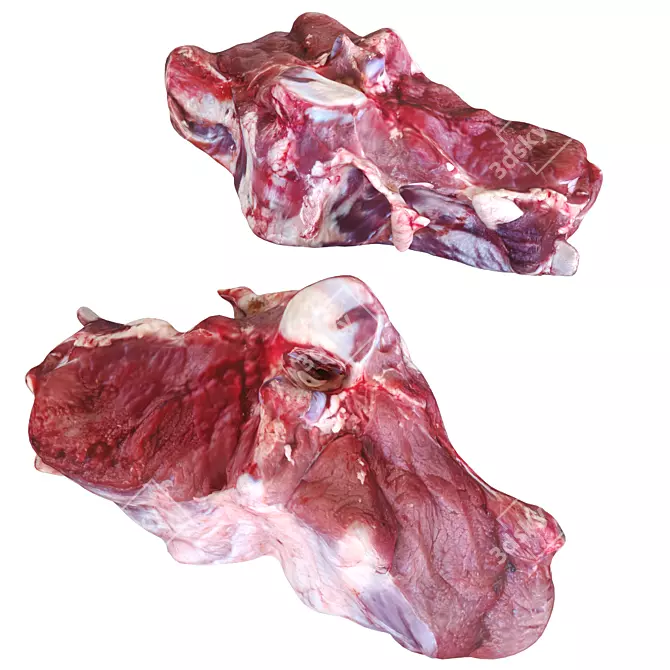 Russian Meat Cow Farm Set 3D model image 4