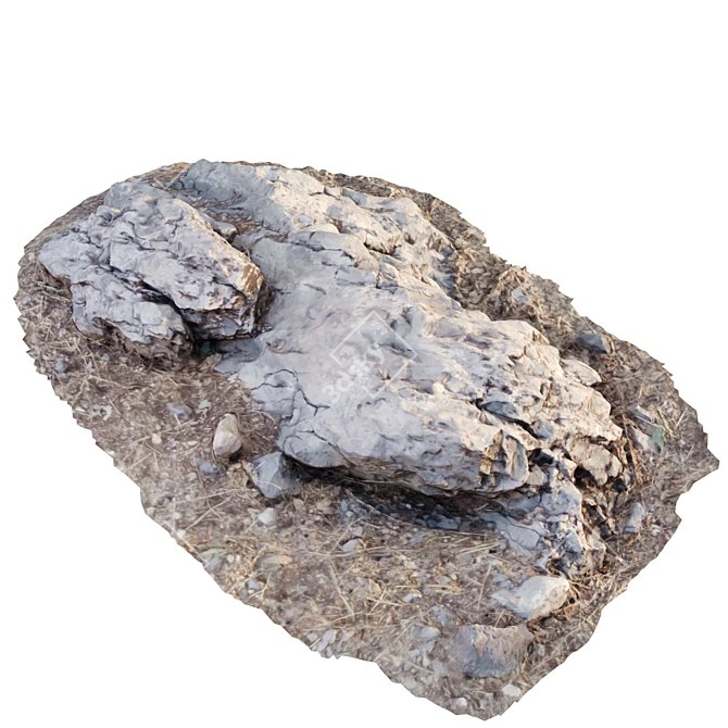 3D Stone Scan Model 3D model image 2