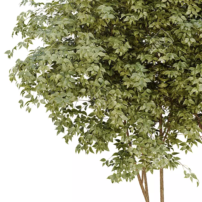 Urban Green Plant Bench Collection 3D model image 3