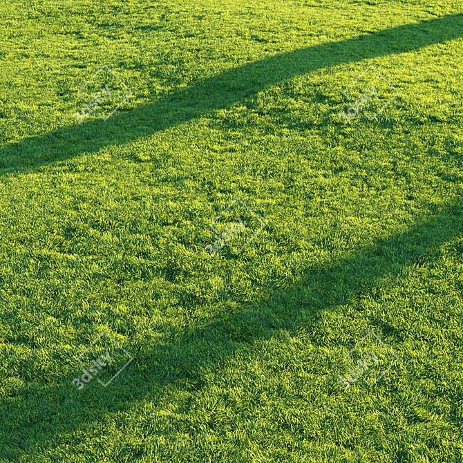 Pro Render Grass Pack 3D model image 5