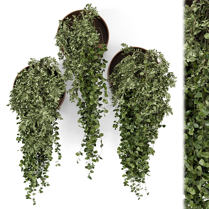 Concrete Pot Hanging Indoor Plants 3D model image 2