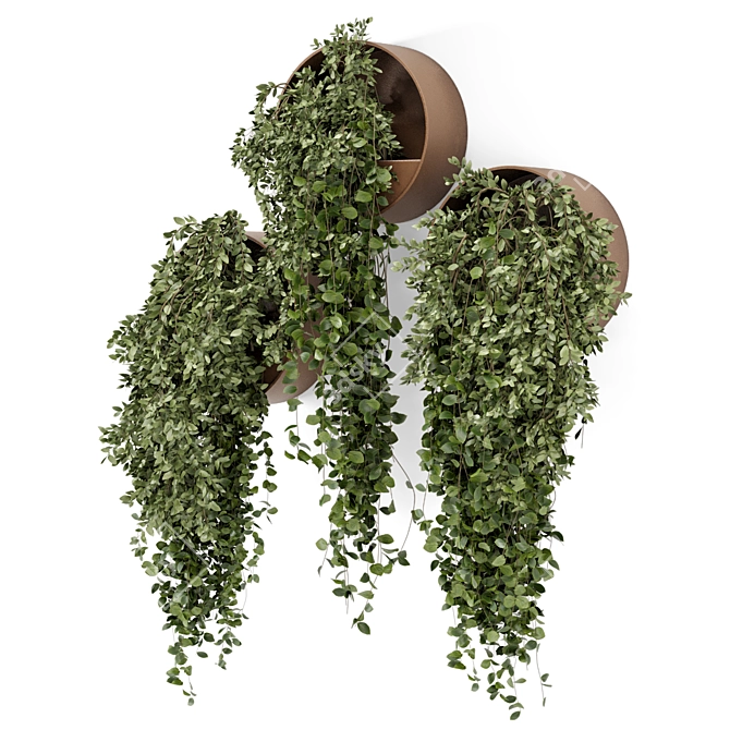 Concrete Pot Hanging Indoor Plants 3D model image 3