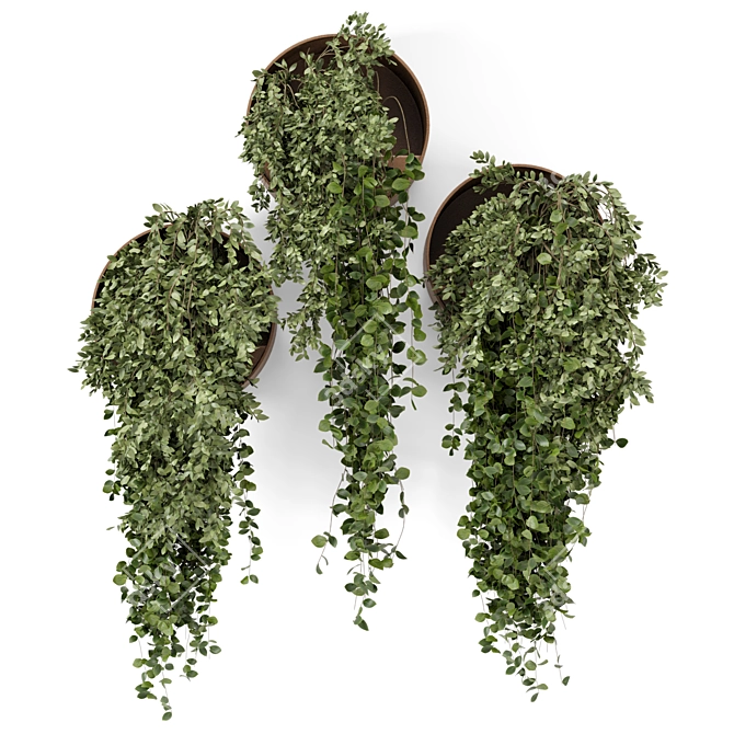 Concrete Pot Hanging Indoor Plants 3D model image 4