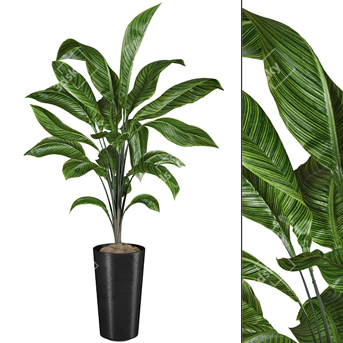 High-quality 3D Plant Models 3D model image 6