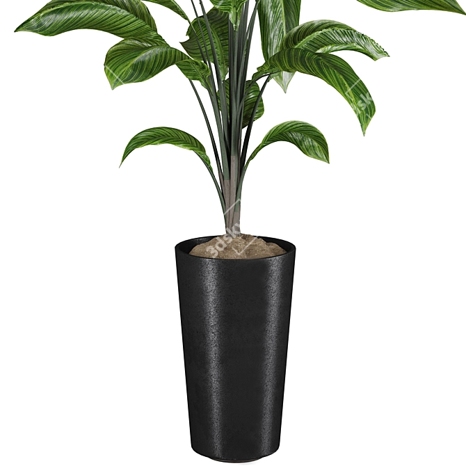 High-quality 3D Plant Models 3D model image 4