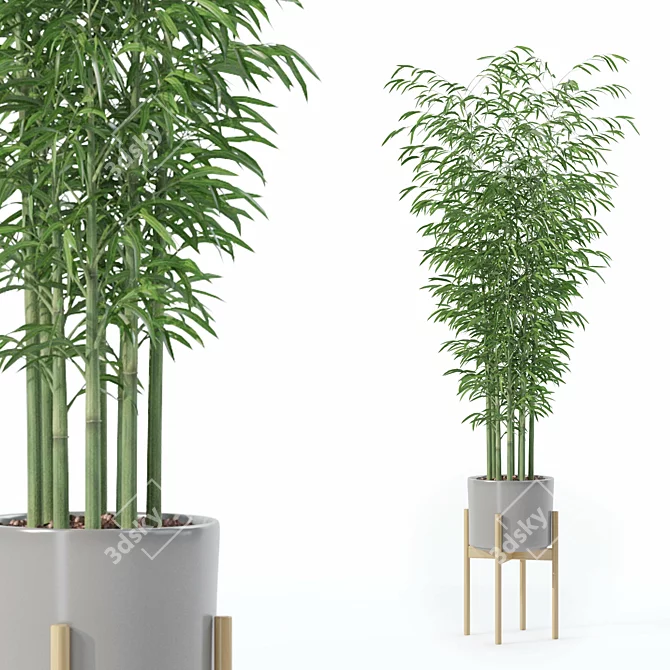 Modern Bamboo Plant in Pot 3D model image 1
