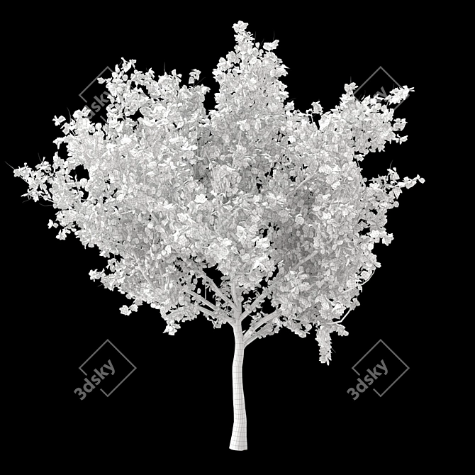 Autumn Maple Tree tendrils 3D model image 3